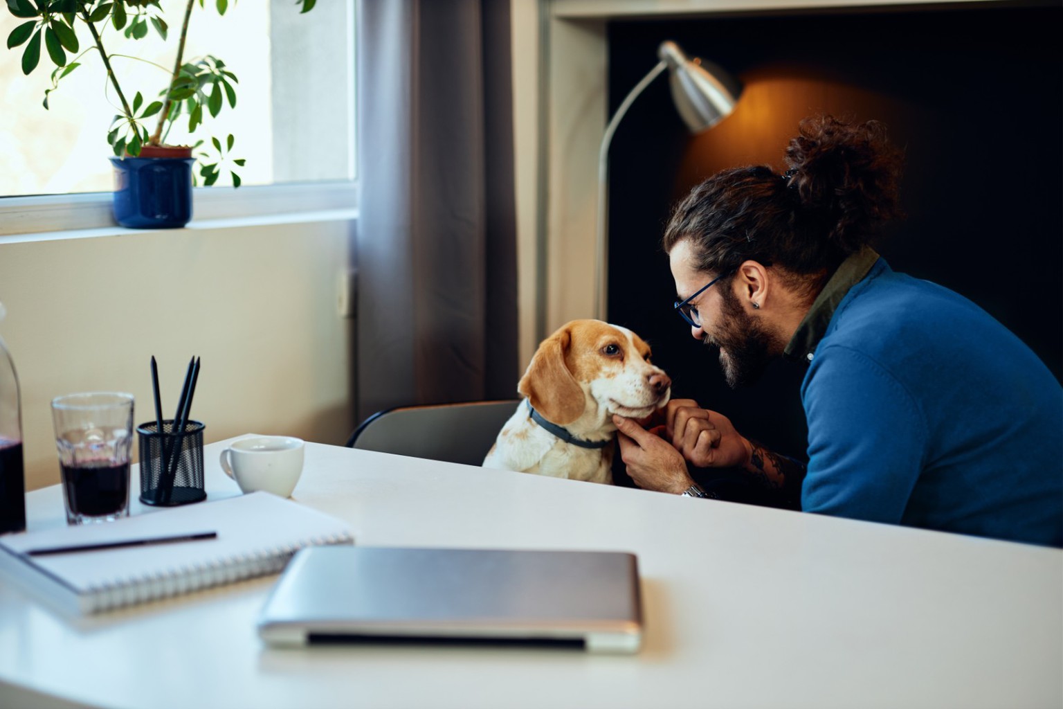 6 Advantages of a Pet-Friendly Office Environment